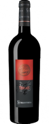 Bodega Numanthia Termes - Toro Termes (750ml) (750ml)