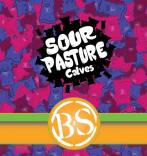 Bolero Snort  Brewery - Sour Pasture Calves (4 pack 16oz cans)